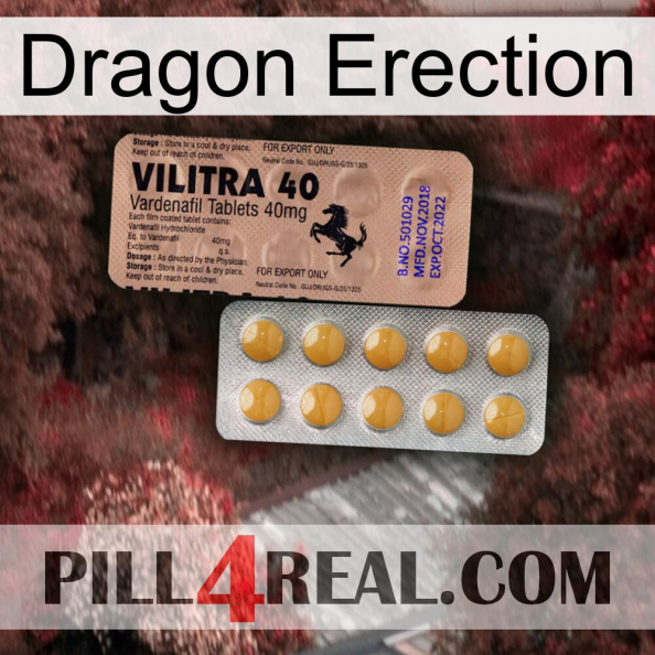 Dragon Erection 41